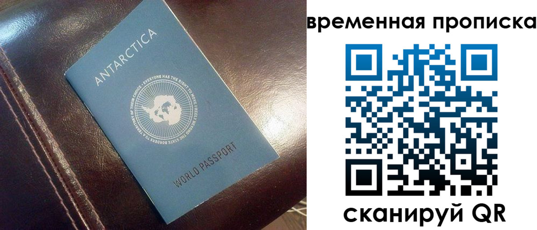 прописка паспорт в Моршанске